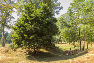 Similar image 10878628