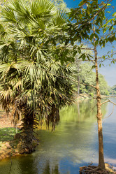 Similar image 10878629