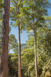 Similar image 10878640