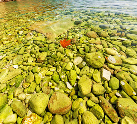 Similar image 10886773