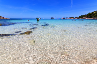 Similar image 10886135