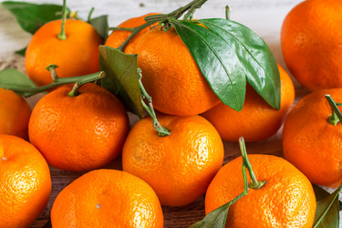 Similar image 10878691