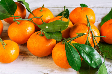 Similar image 10878693