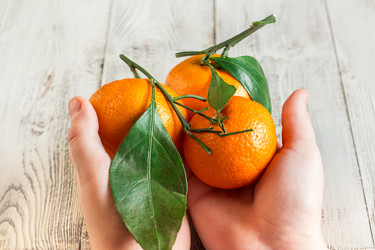 Similar image 10878699