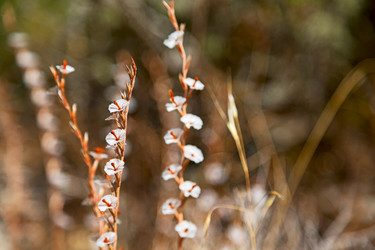 Similar image 10886786