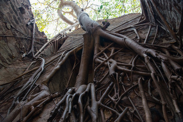 Similar image 10878404