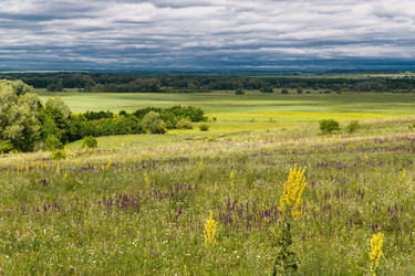 Similar image 10878405