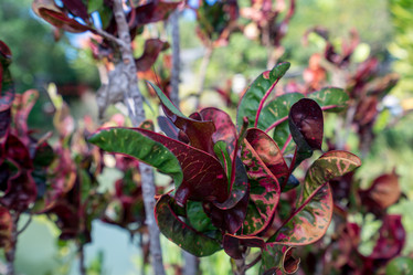 Similar image 10901099