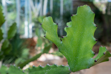 Similar image 10900989