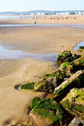 Similar image 10886039