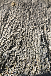 Similar image 10886142