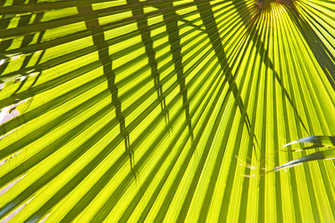 Similar image 10886162