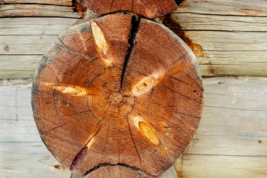 Similar image 10878572