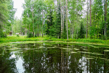 Similar image 10878587