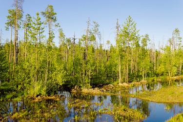 Similar image 10878594