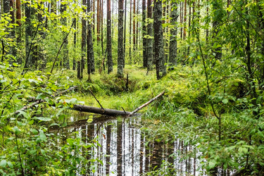 Similar image 10878595