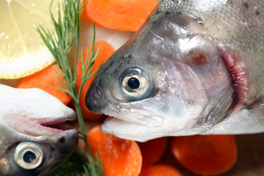 Similar image 10878862