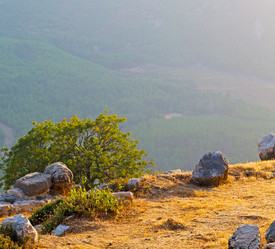 Similar image 10885258