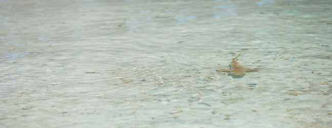 Similar image 10898904