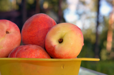 Similar image 10878907