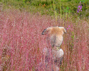 Similar image 10878911