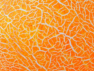 Similar image 10878913