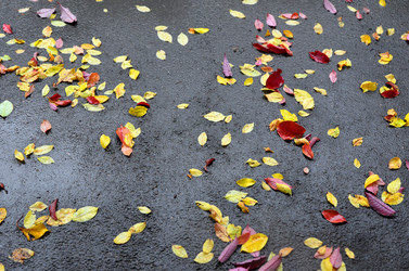 Similar image 10878922