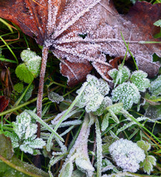 Similar image 10878943