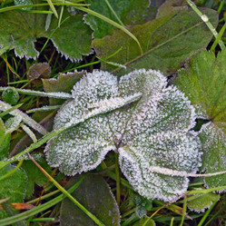 Similar image 10878944