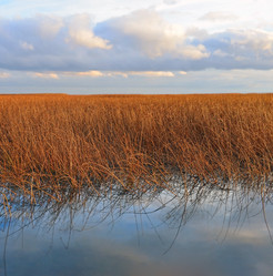 Similar image 10878972