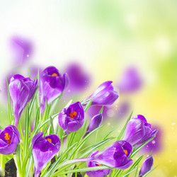 Similar image 10888744