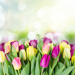 Similar image 10888746