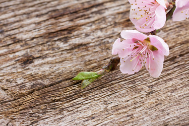 Similar image 10888724