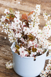 Similar image 10889019