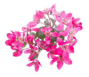 Similar image 10889021