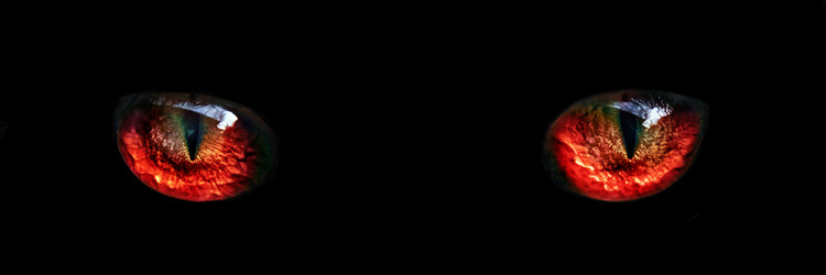 Similar image 10879423