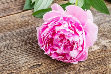 Similar image 10889058