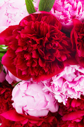 Similar image 10889059