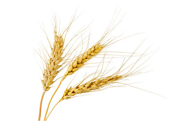 Similar image 10878962