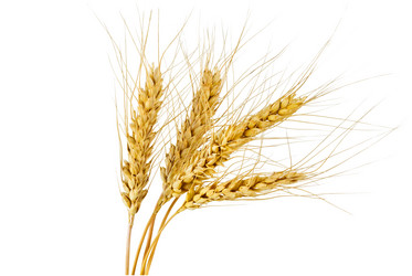 Similar image 10878963