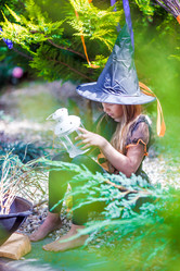 Similar image 10898500