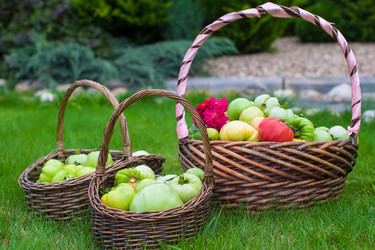 Similar image 10899835