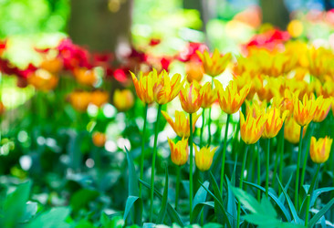 Similar image 10898852