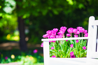 Similar image 10898890