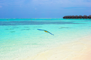 Similar image 10898998