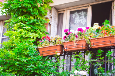 Similar image 10900085