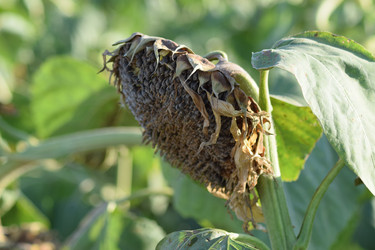 Similar image 10879183