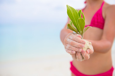 Similar image 10898123