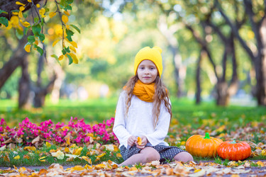 Similar image 10898569