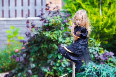 Similar image 10888631